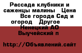 Рассада клубники и саженцы малины › Цена ­ 10 - Все города Сад и огород » Другое   . Ненецкий АО,Выучейский п.